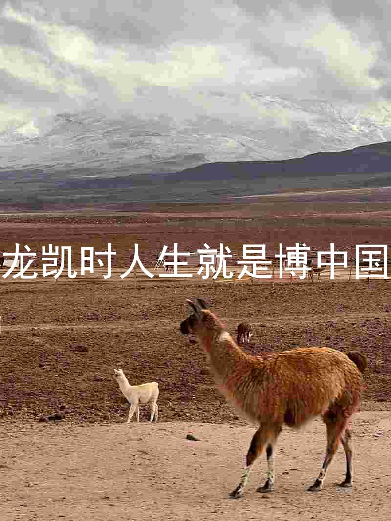 尊龙凯时人生就是博中国区