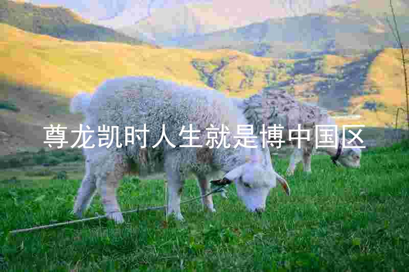 尊龙凯时人生就是博中国区