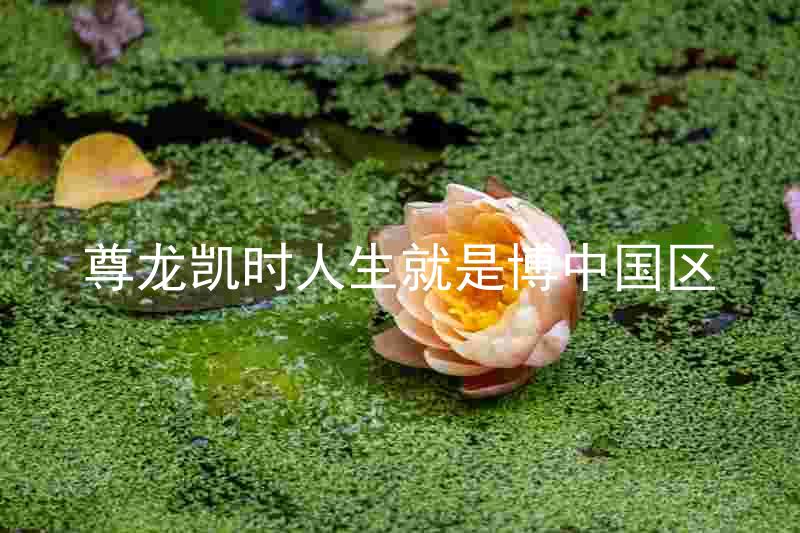 尊龙凯时人生就是博中国区