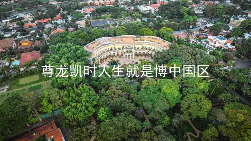 尊龙凯时人生就是博中国区