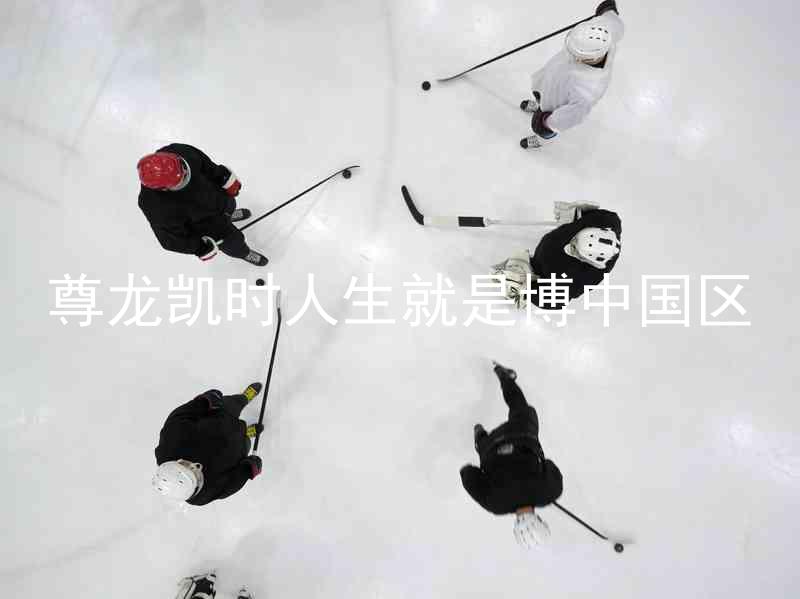 尊龙凯时人生就是博中国区